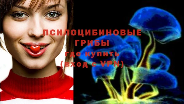 трава Горняк