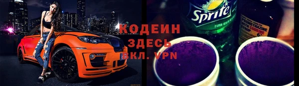 дмт Вяземский