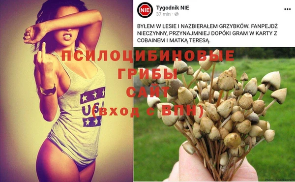 герыч Волоколамск