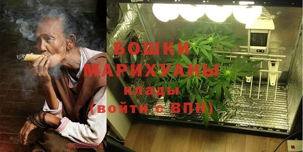 дмт Вяземский