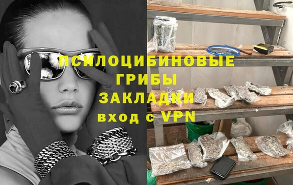 дмт Вяземский