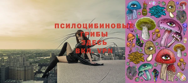 стафф Горнозаводск