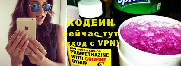 мдпв Верхний Тагил